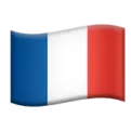 Waving French flag with blue, white, and red vertical stripes.