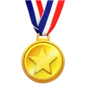Gold medal with a star and a red, white, and blue ribbon.