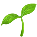 Illustration of a green plant sprout with two leaves.