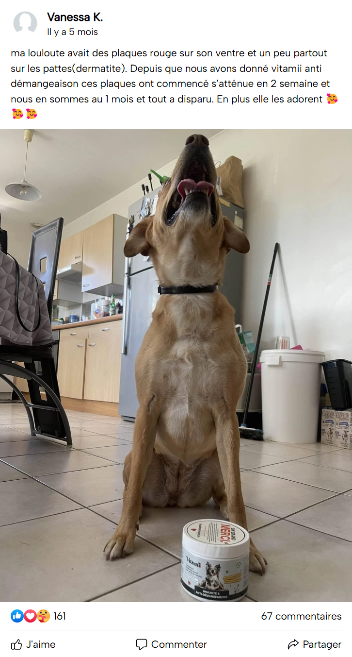 Dog sitting in a kitchen with a container of pet vitamins.