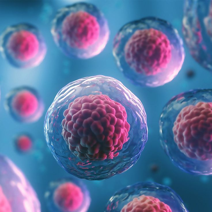 Illustration of multiple cells with pink nuclei floating in a blue environment.