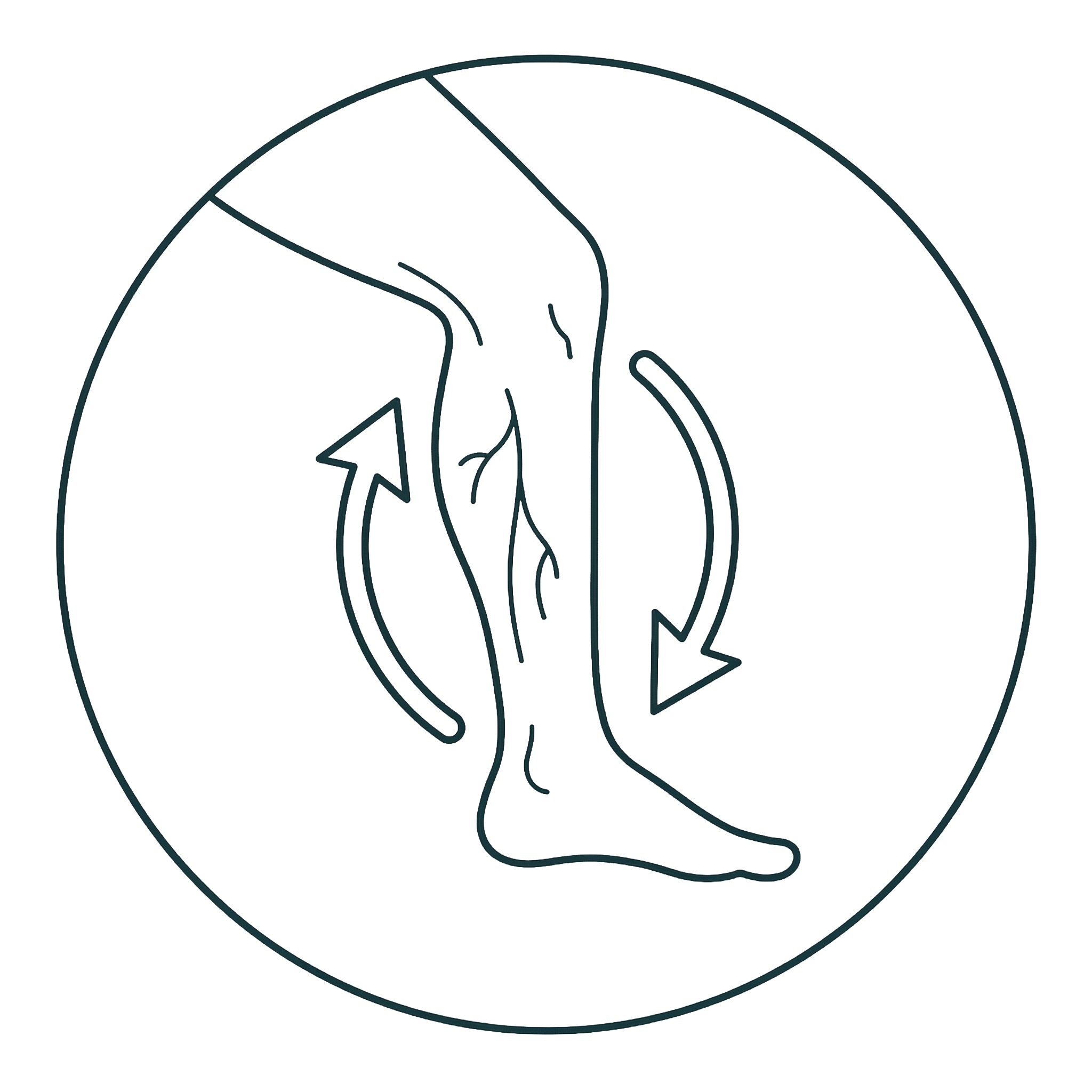 A line drawing icon of a human leg with varicose veins and arrows indicating circulation.