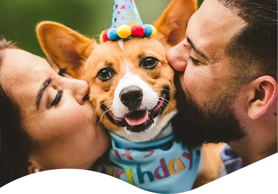 Two people kissing a dog wearing a birthday hat.