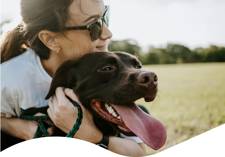 Person hugging a happy brown dog in a grassy field.