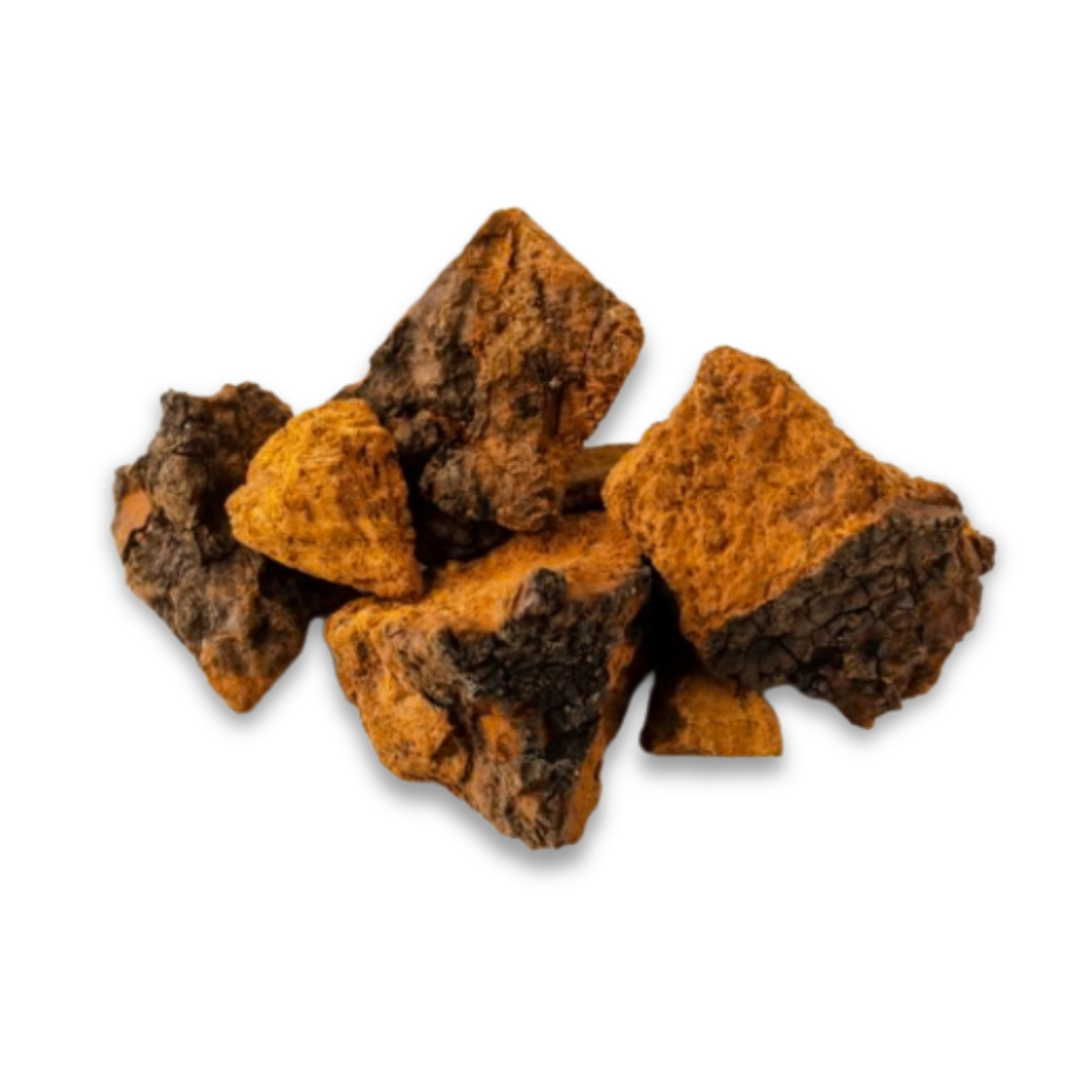A pile of raw, dried Chaga mushroom chunks with dark brown exteriors and orange interiors on a white background.