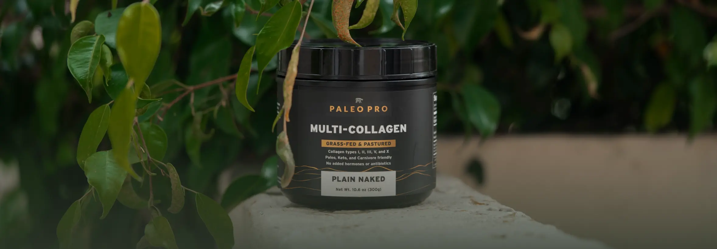 A jar of Paleo Pro Multi-Collagen on a stone surface with green leaves.