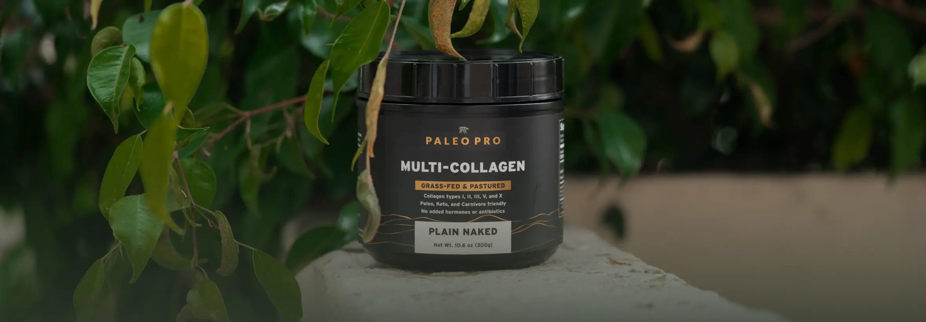 A jar of Paleo Pro Multi-Collagen on a stone surface with green leaves.