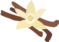 Illustration of a vanilla flower with brown pods.