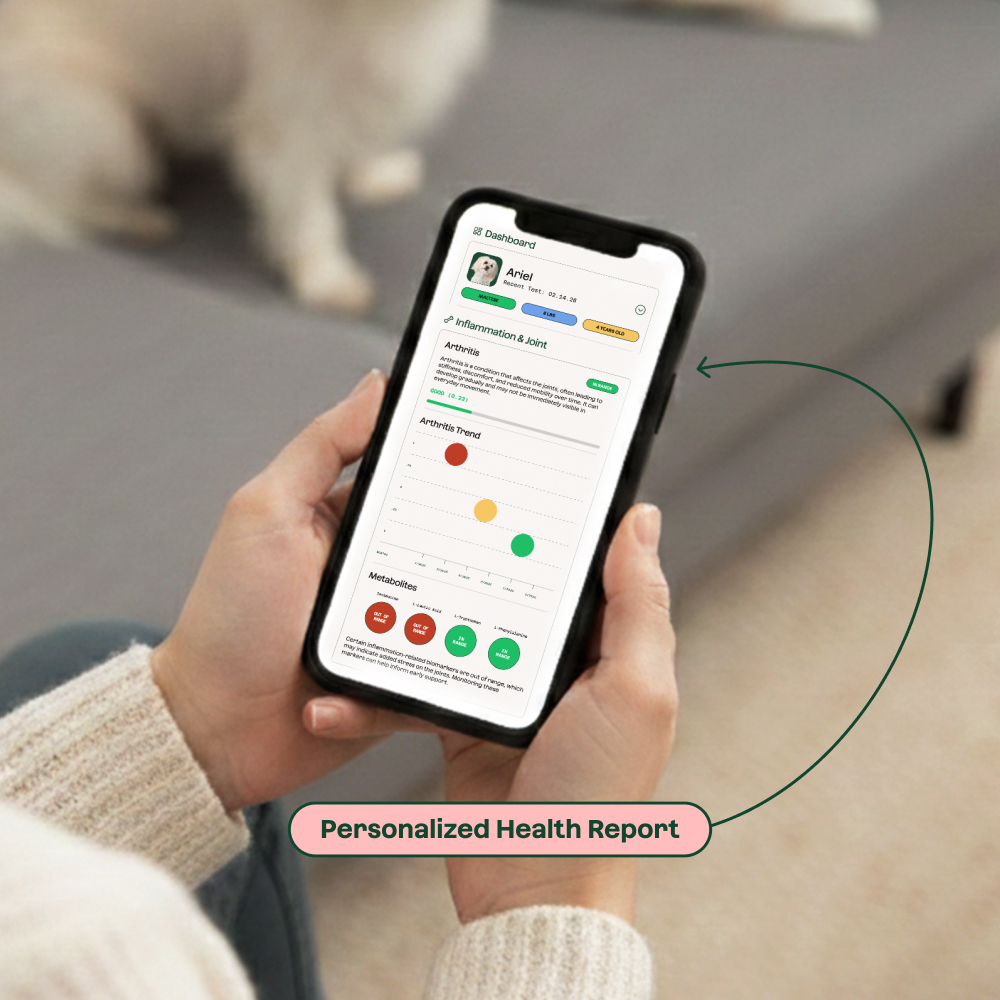 Everfur Health Test Annual Membership