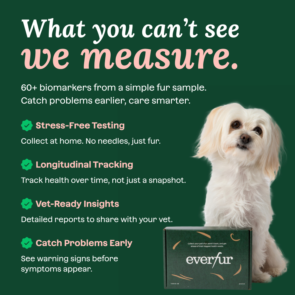 Everfur Health Test Annual Membership