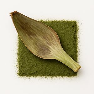 Artichoke leaf on a square of green powder.