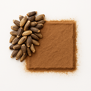 Pile of seeds next to a square of brown powder on a white background.