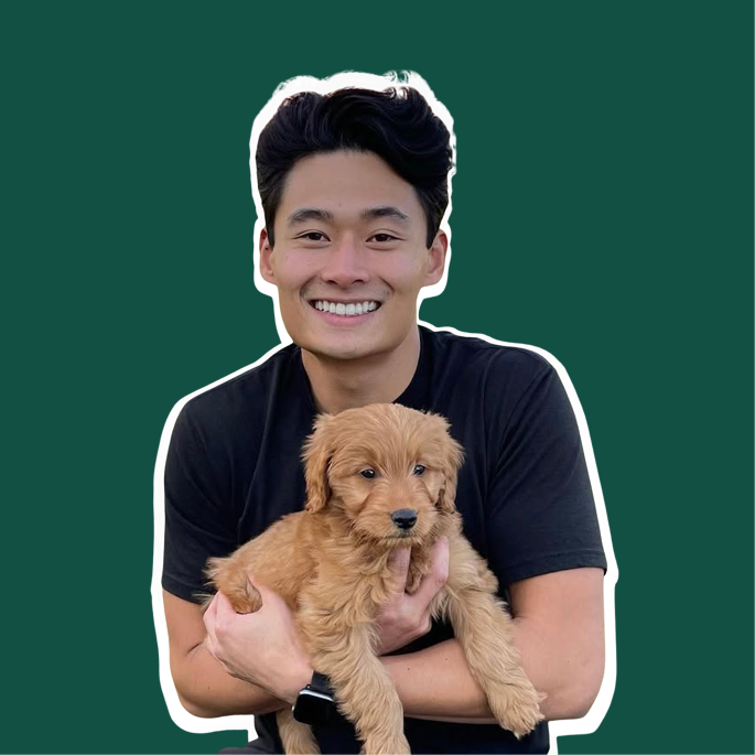 Person in black shirt holding a brown puppy against a dark green background.