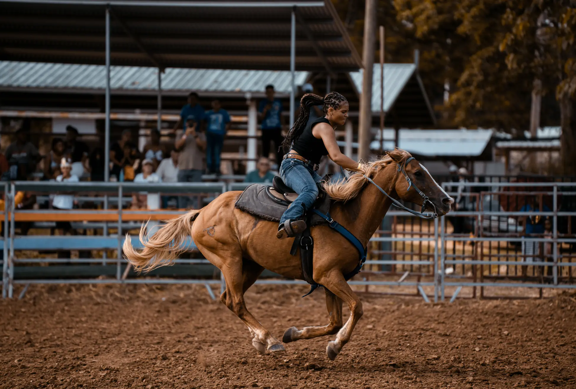 Person riding a horse in an arena with people watching in the background.