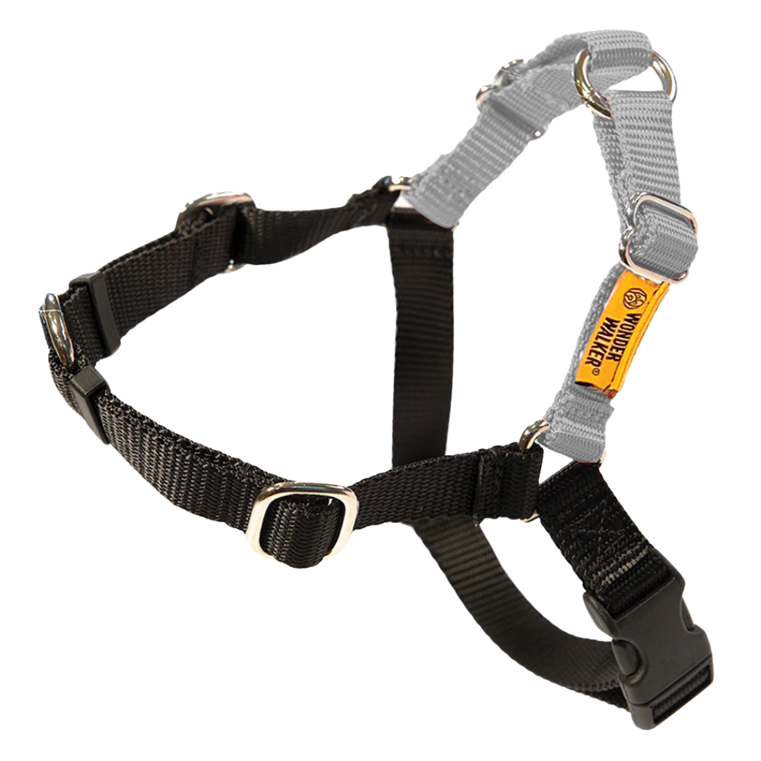 Black and gray dog harness with metal rings and a yellow label.