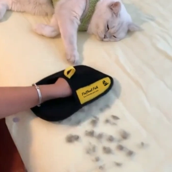 White cat being groomed with a pet grooming glove on a bed.