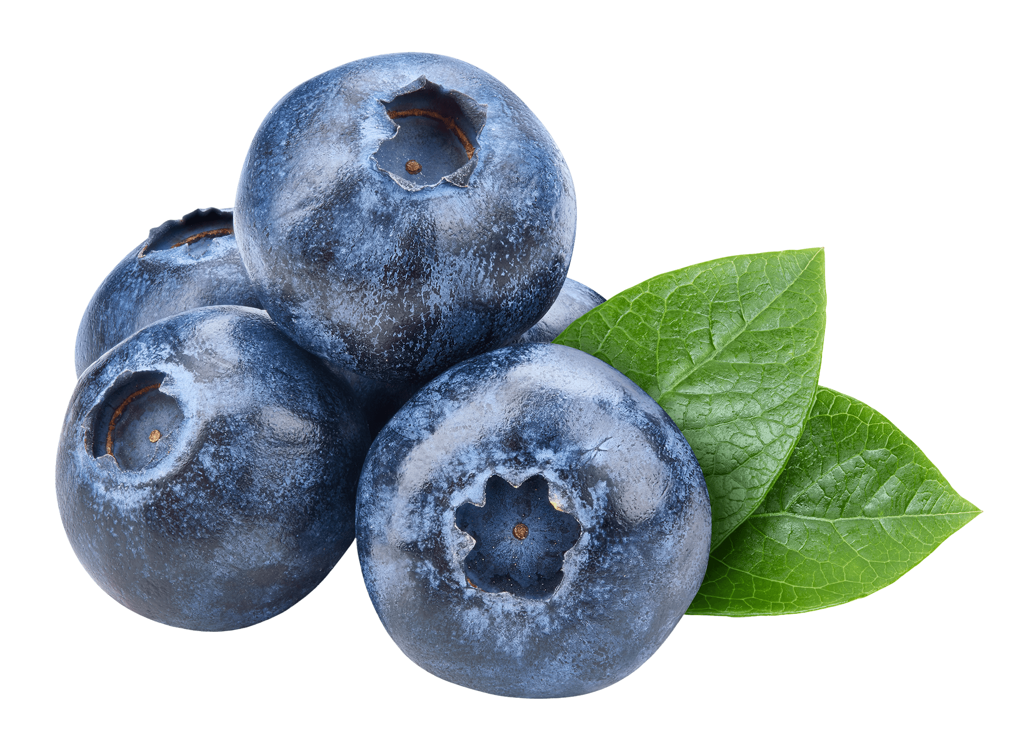 Cluster of blueberries with green leaves on a black background.