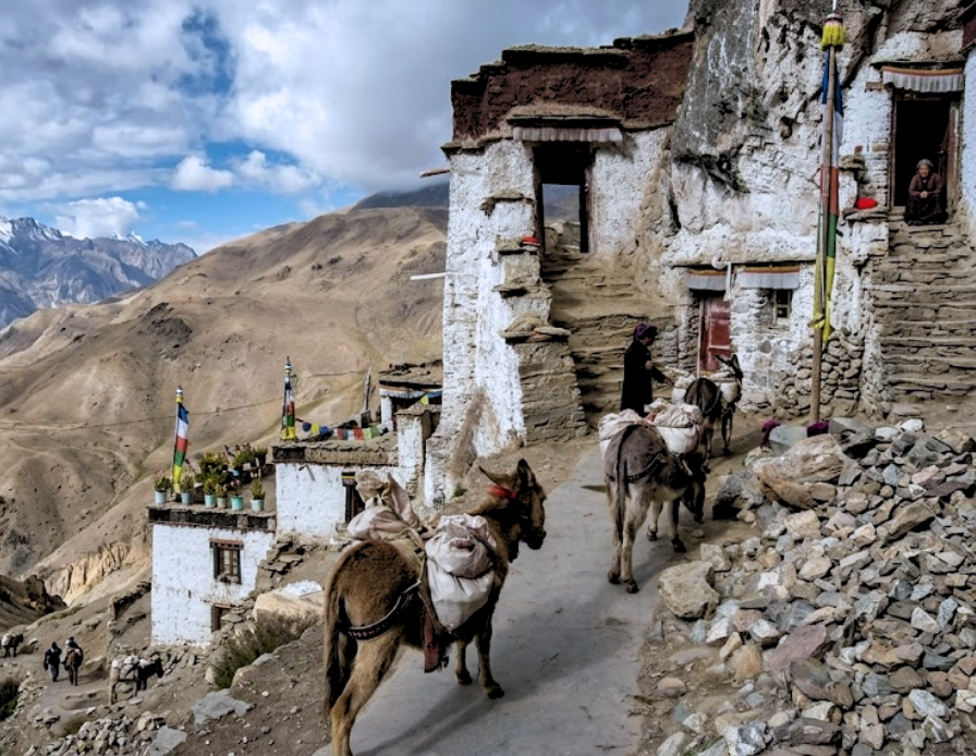 People lead pack donkeys along a path through a rugged village built into a mountainside.