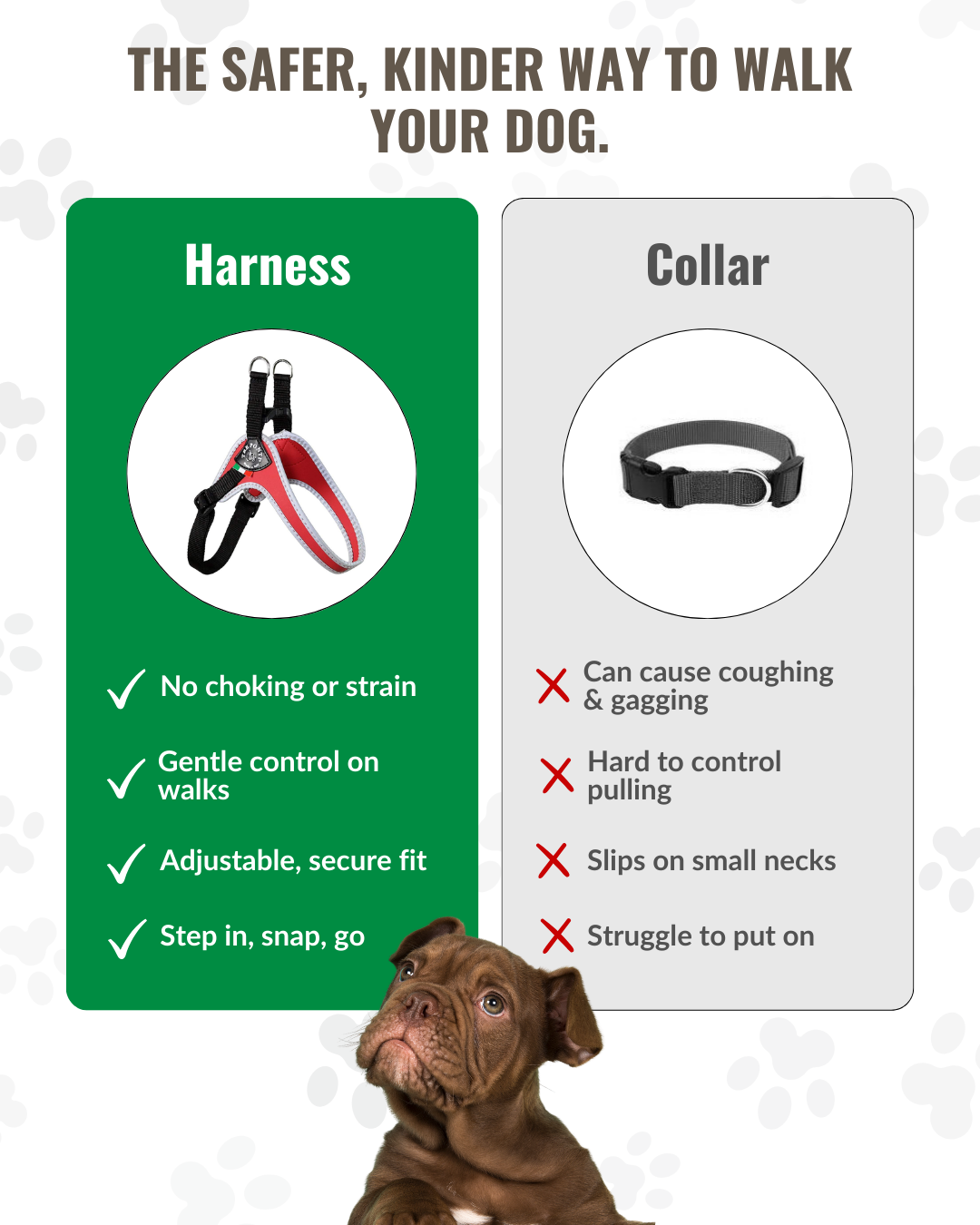 Comparison of harness vs collar for walking dogs, with benefits and drawbacks.