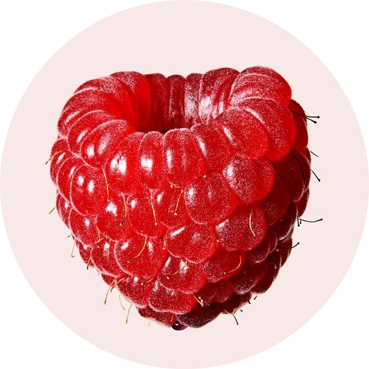 A close-up of a single red raspberry set against a circular, pale pink background.