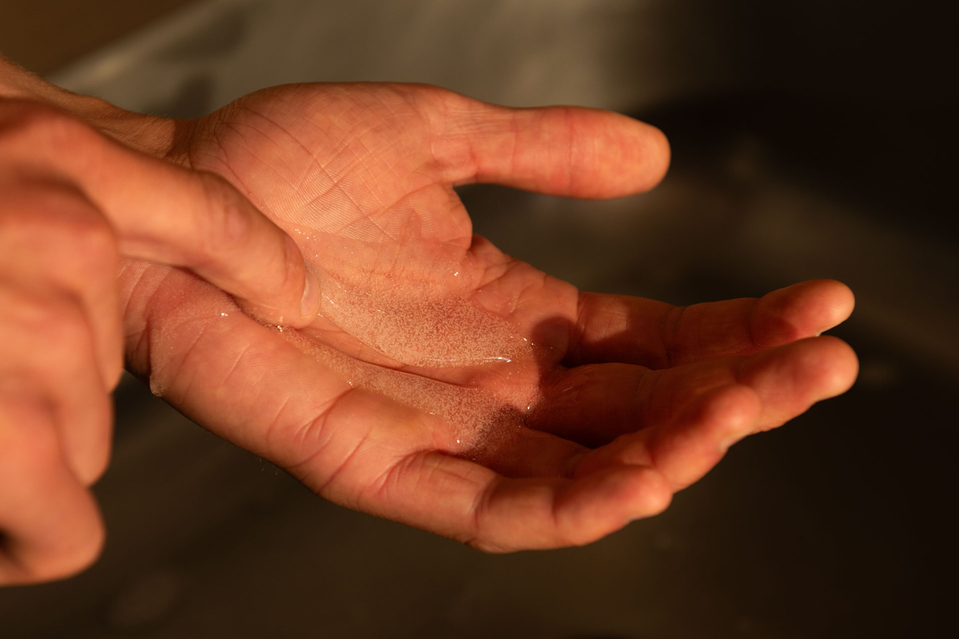 Close-up of a hand with soap lather.
