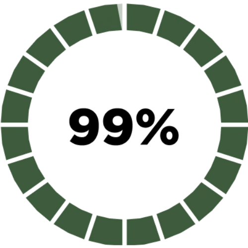A circular progress bar graphic indicating 99% completion, with a dark green segmented ring.