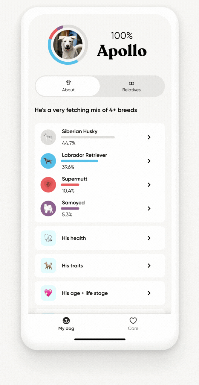 Gif of embark app experience and featuress