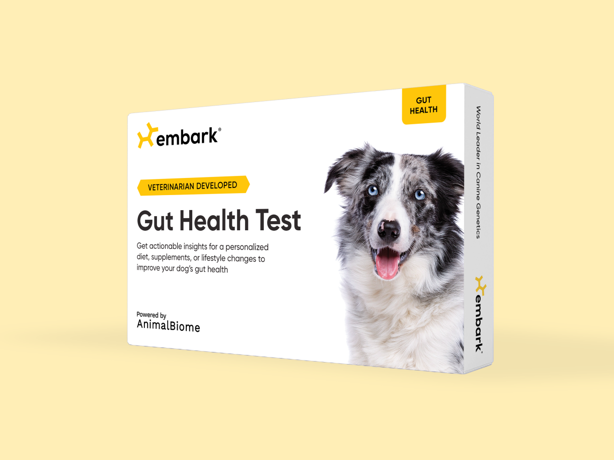 Gut health test box