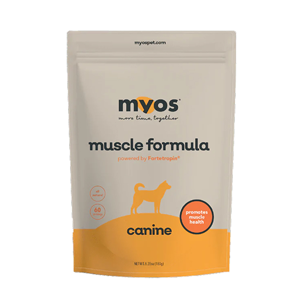 Book titled 'Book of Proverbs' with a minimalist cover design.