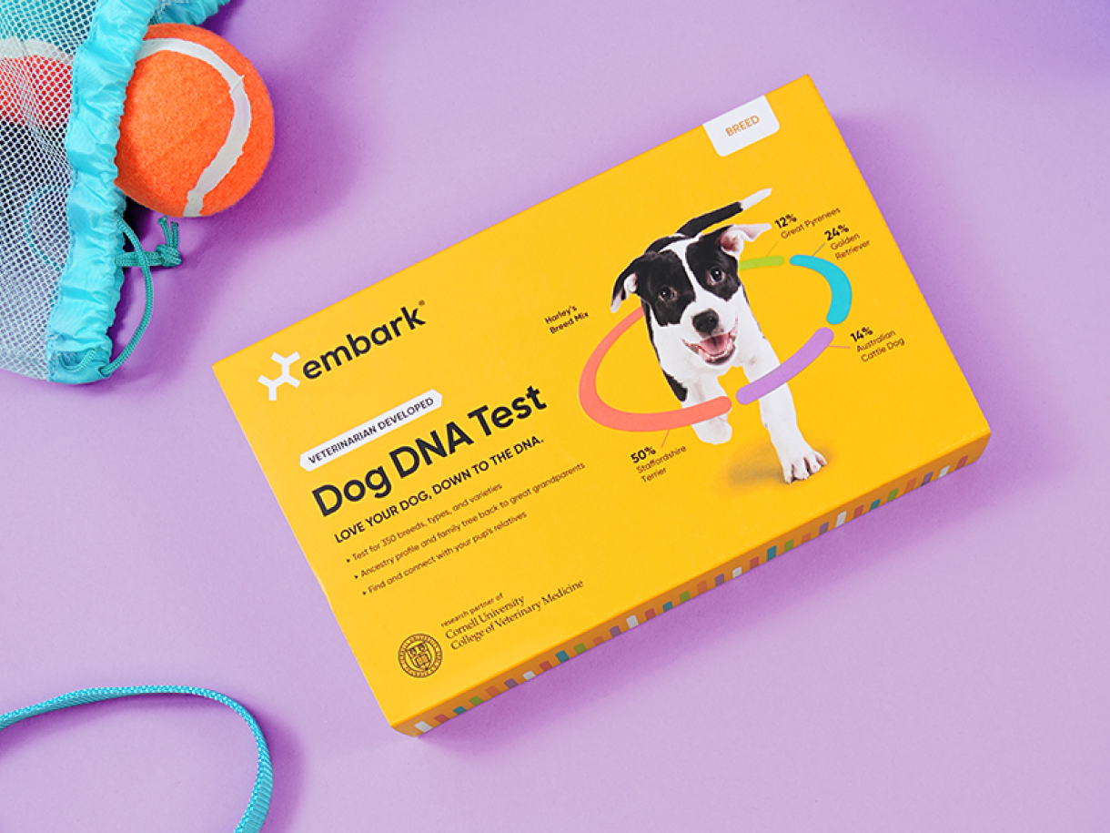 Breed only dna test box