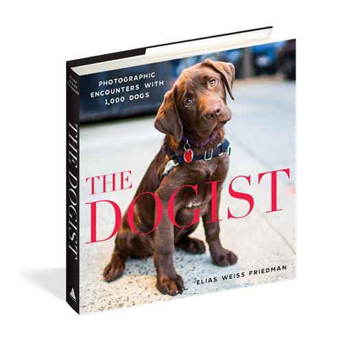 Cover of 'The Dogist: Photographic Encounters with 1,000 Dogs' by Elias Weiss Friedman, featuring a chocolate Labrador puppy sitting on a sidewalk.