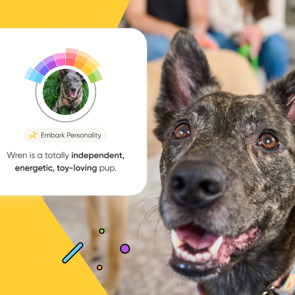 Book titled 'Book of Proverbs' with a minimalist cover design.