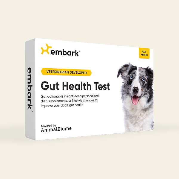 Book titled 'Book of Proverbs' with a minimalist cover design.