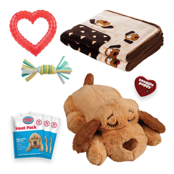 Book titled 'Book of Proverbs' with a minimalist cover design.