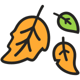 An illustration of three leaves with thick black outlines: two orange and one green, representing autumn.