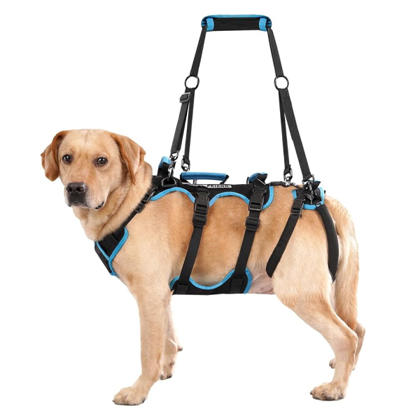 Book titled 'Book of Proverbs' with a minimalist cover design.