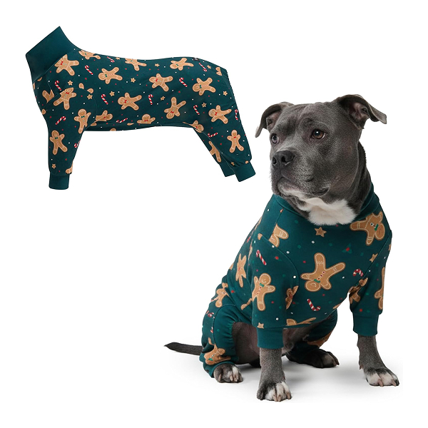 Book titled 'Book of Proverbs' with a minimalist cover design.