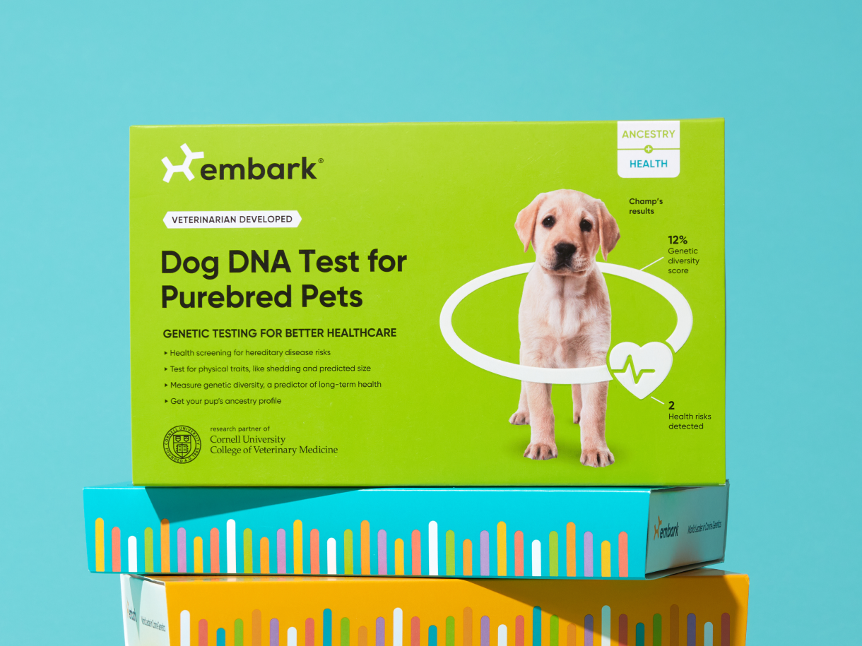 Purebred dog dna test box