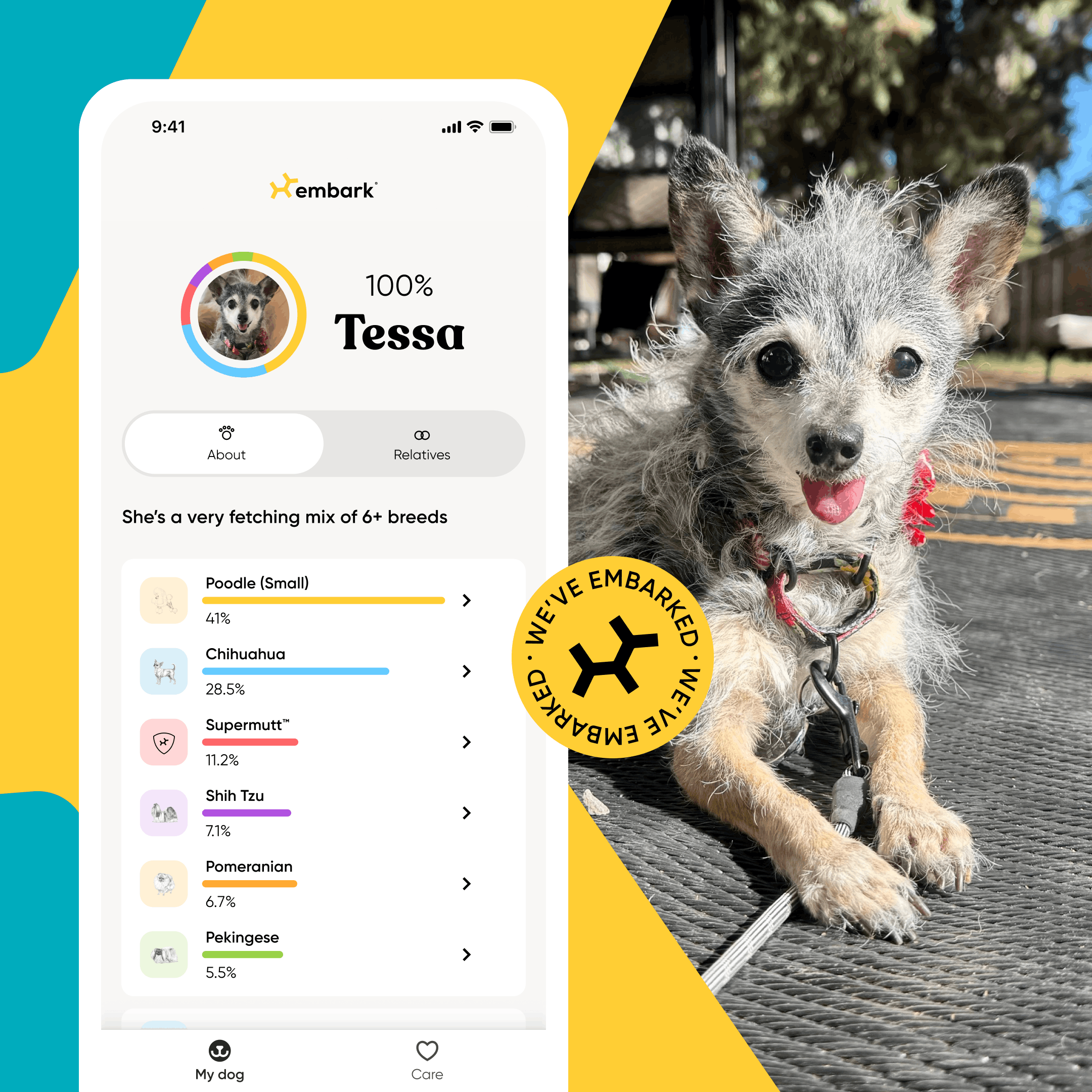 Promotional graphic for the Embark dog DNA test app featuring a small, scruffy gray dog named Tessa lying on an outdoor patio. On the left, a smartphone screen displays Tessa’s Embark results showing “100% Tessa” and a mix of 6+ breeds, including Poodle (Small) 41%, Chihuahua 28.5%, Supermutt 11.2%, Shih Tzu 7.1%, Pomeranian 6.7%, and Pekingese 5.5%. A yellow circular badge reading “We’ve Embarked” overlaps the image. The background includes bold teal and yellow brand shapes.