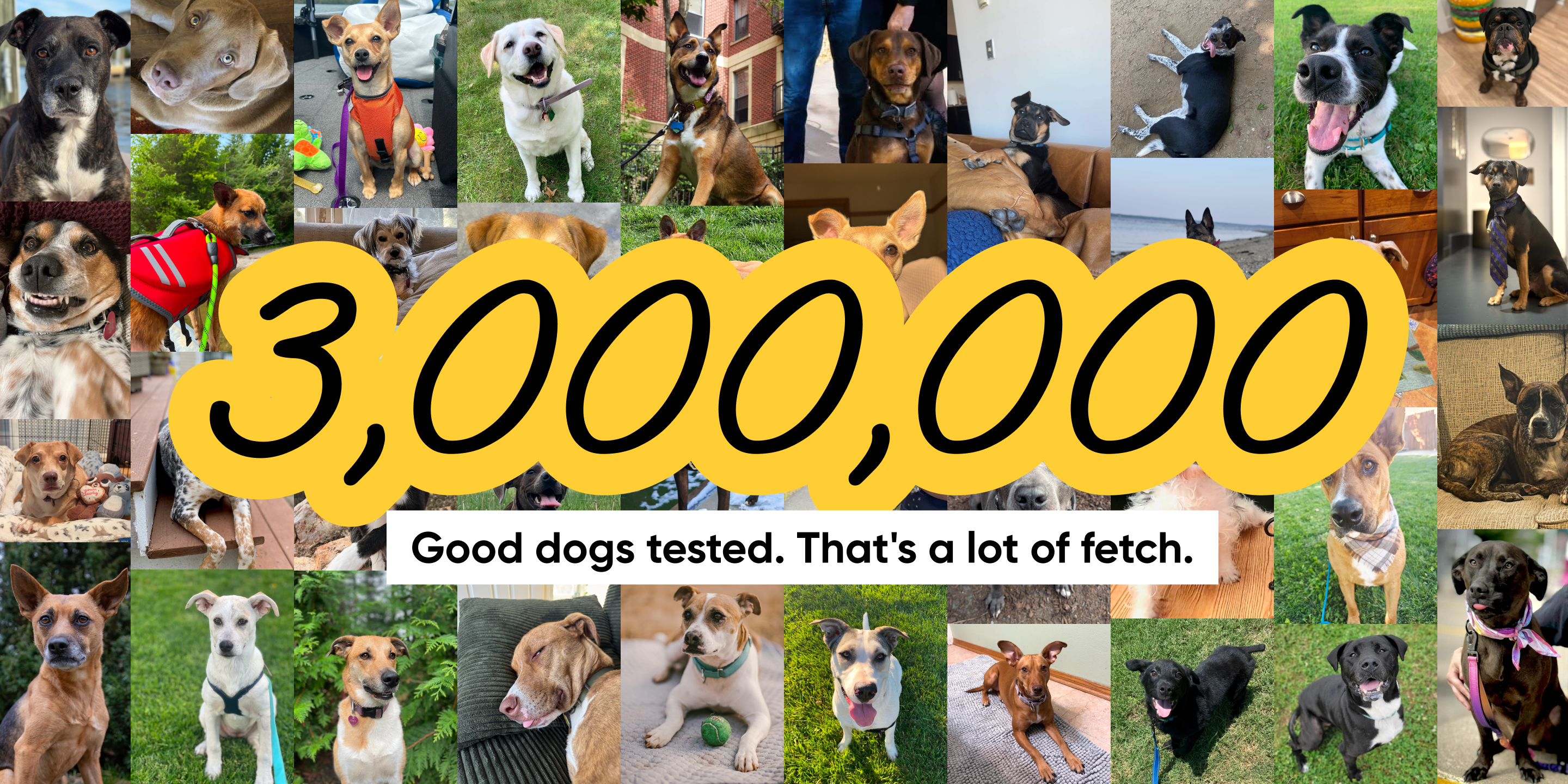  wide collage of photos of diverse dogs of various breeds and sizes, overlaid with large yellow bold text reading '3,000,000' and a subtitle: 'Good dogs tested. That's a lot of fetch.