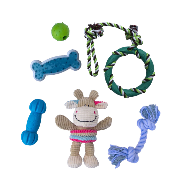 Book titled 'Book of Proverbs' with a minimalist cover design.