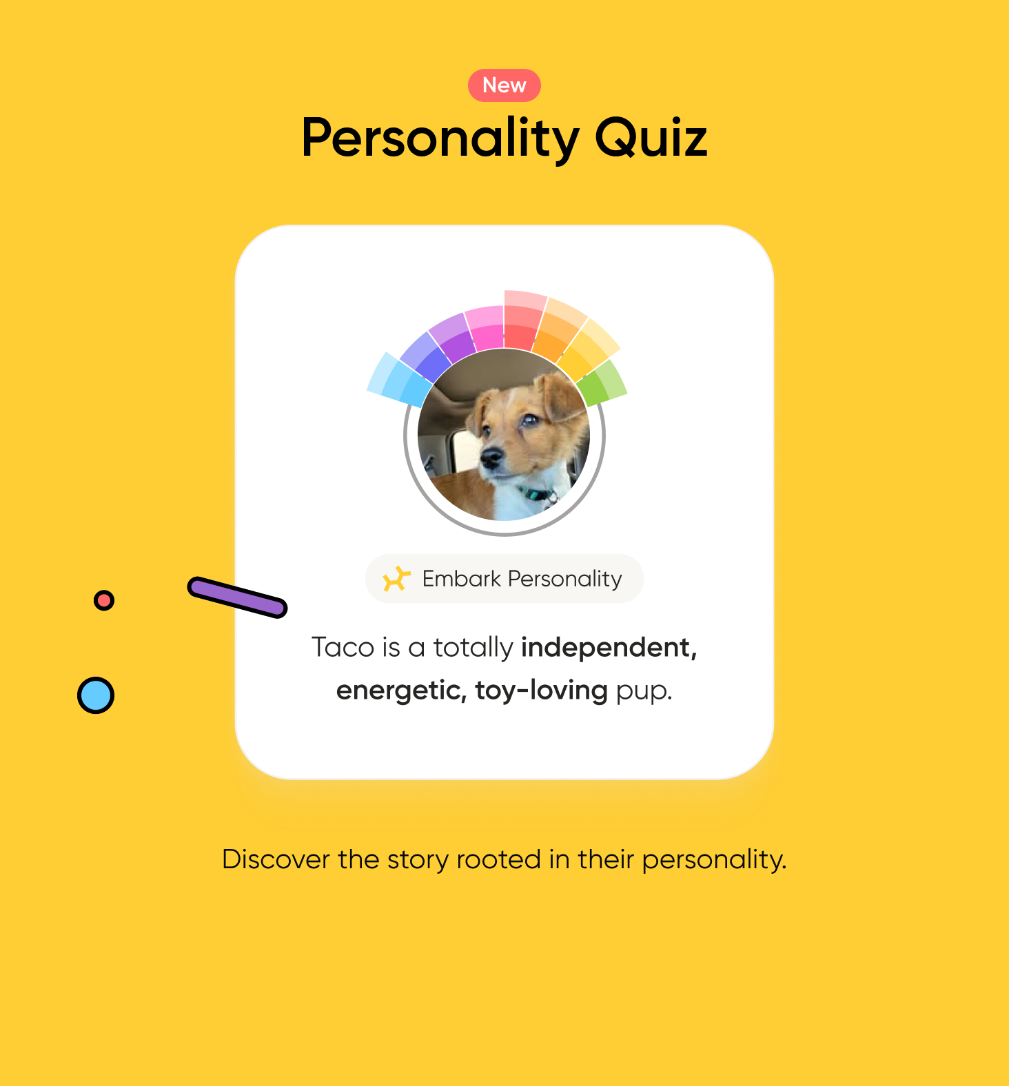 Image of a dog's personality profile with colorful rainbow arc on yellow background.