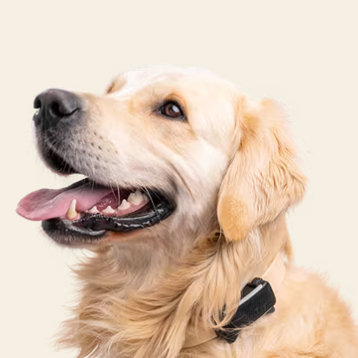 Book titled 'Book of Proverbs' with a minimalist cover design.