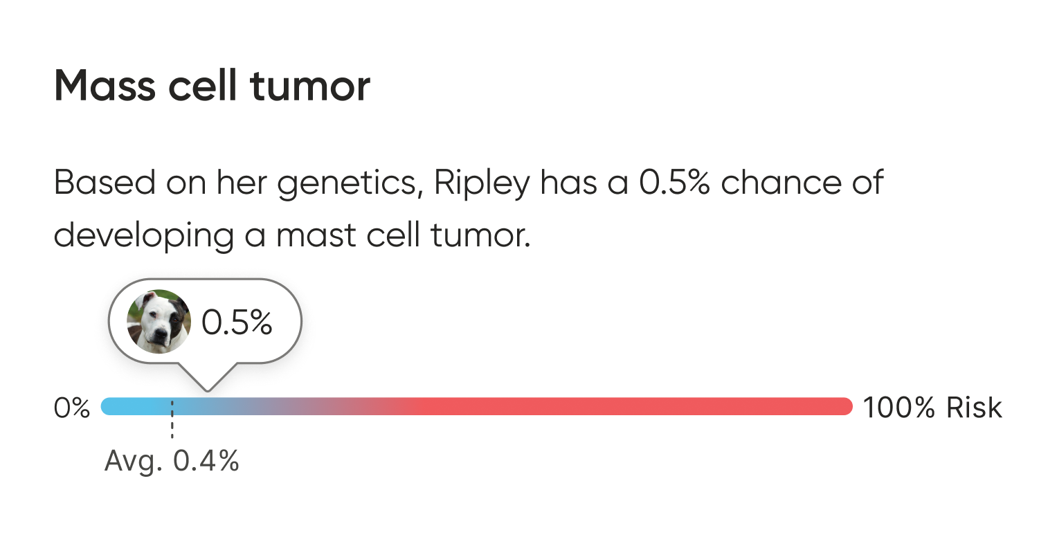 An Embark health report card showing a dog named Ripley has a 0.5% genetic chance of developing a mast cell tumor, displayed on a blue-to-red risk gradient bar with the population average of 0.4% marked.