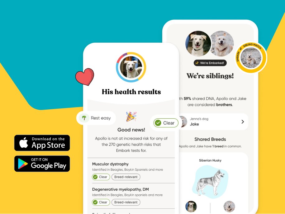 Preview of Embark app available in apple and google stores