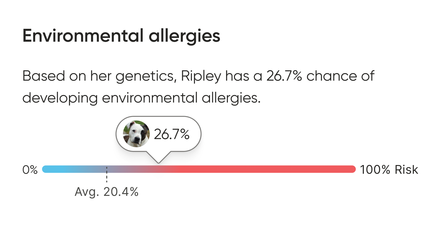 An Embark health report card showing a dog named Ripley has a 26.7% genetic chance of developing environmental allergies, displayed on a blue-to-red risk gradient bar with the population average of 20.4% marked.