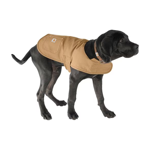 A black Labrador wearing a tan Carhartt dog chore coat, shown in profile against a white background.
