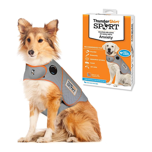 A long-haired dog sits wearing a grey and orange ThunderShirt Sport anxiety vest, with the product box nearby.