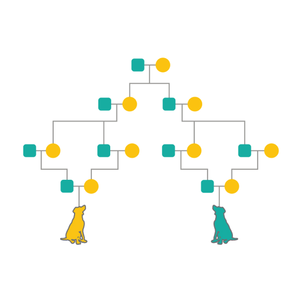 Book titled 'Book of Proverbs' with a minimalist cover design.