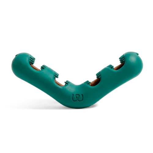 A V-shaped teal dog chew toy with rubber bristles and a brown core, on a white background.
